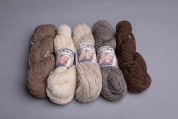 shetlandwol 2-draads